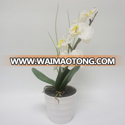 2AA LED Lighted Artificial White Orchid Arrangement - Battery Operated Phalaenopsis Pot with 6 Lights